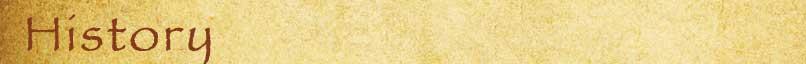 sagebrushcantinabestmexicanrestaurantmichigan
